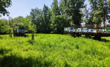 Guba and Khinalig tour