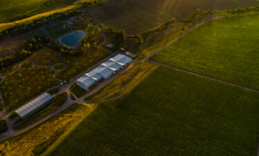 Shamakhi Winery Tour